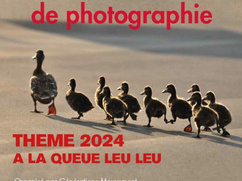 Résultats concours photos 2024